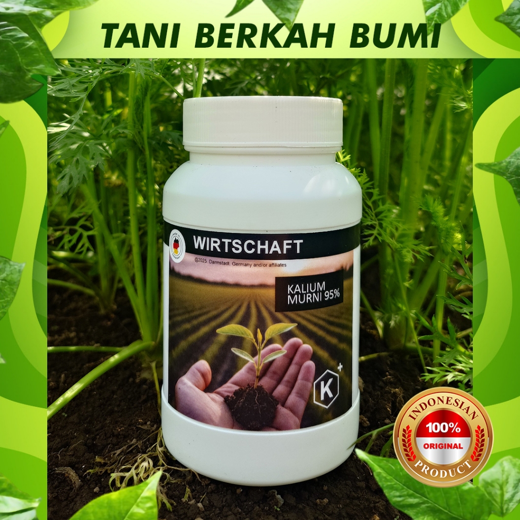 KALIUM MURNI 95%. untuk pembuahan dan ketahanan buah