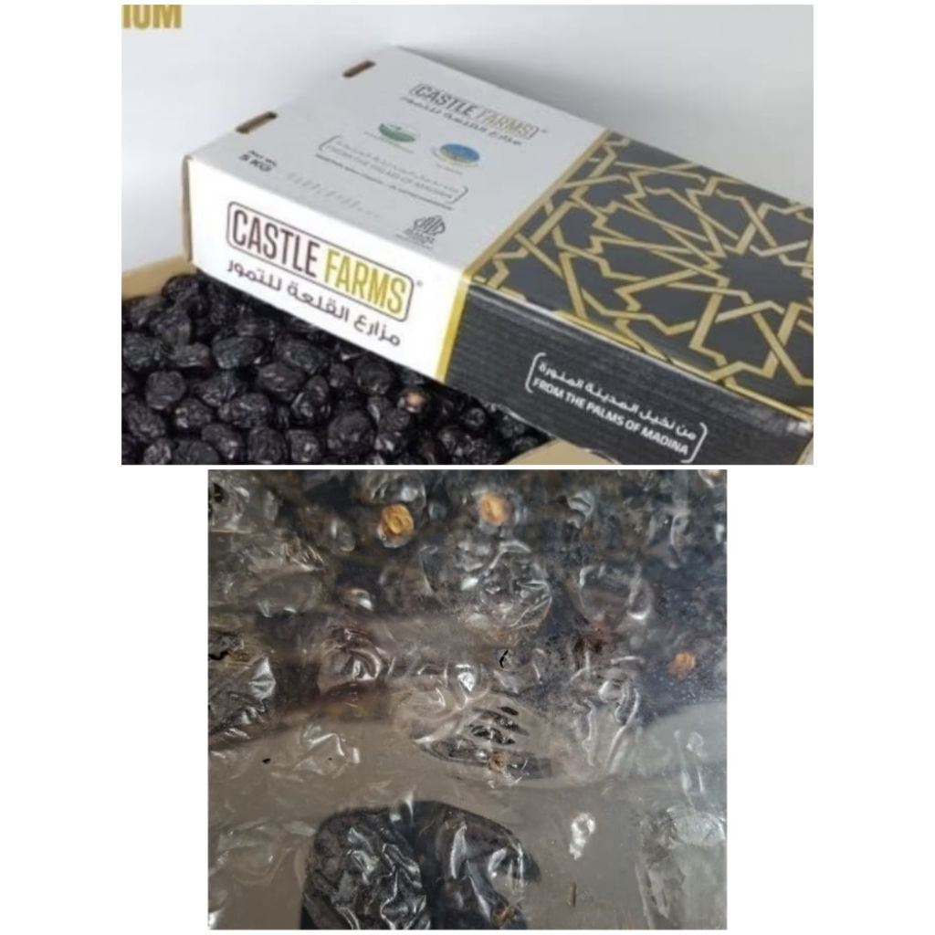 Kurma Ajwa Madinah Castle Farm 5Kg Organik Kemtan RI