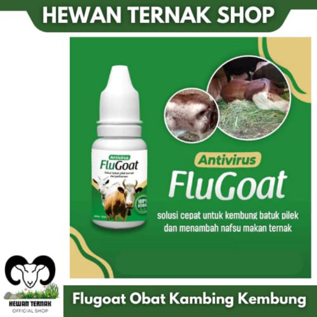 FLUGOAT Obat Mengatasi Lemas,Kembung,Pilek,Batuk Dan Susah Berdiri Untuk Kambing Domba,Sapi & Kerbau