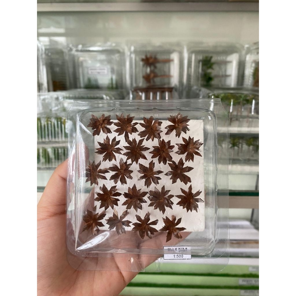 MiniaturMaketPohonPalemMonokrom|Hijau