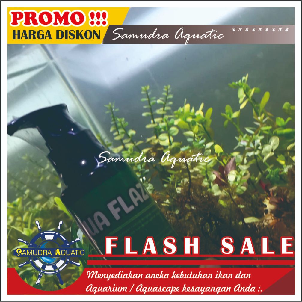 Pupuk Cair AQUA FLAZ Aquarium Tanaman Air | Pupuk Cair Tanaman Aquascape | Pupuk Cair Tanaman