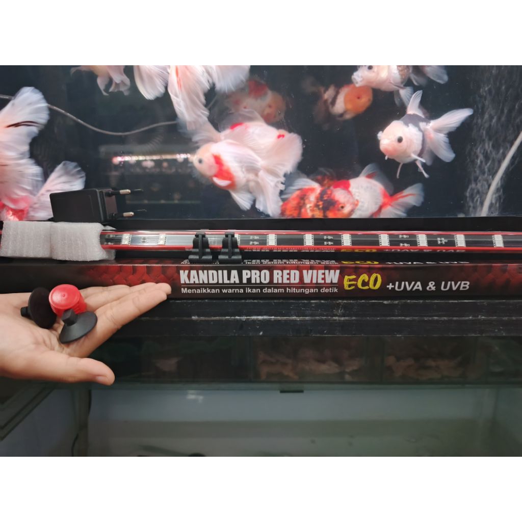 lampu kandila pro red view eco