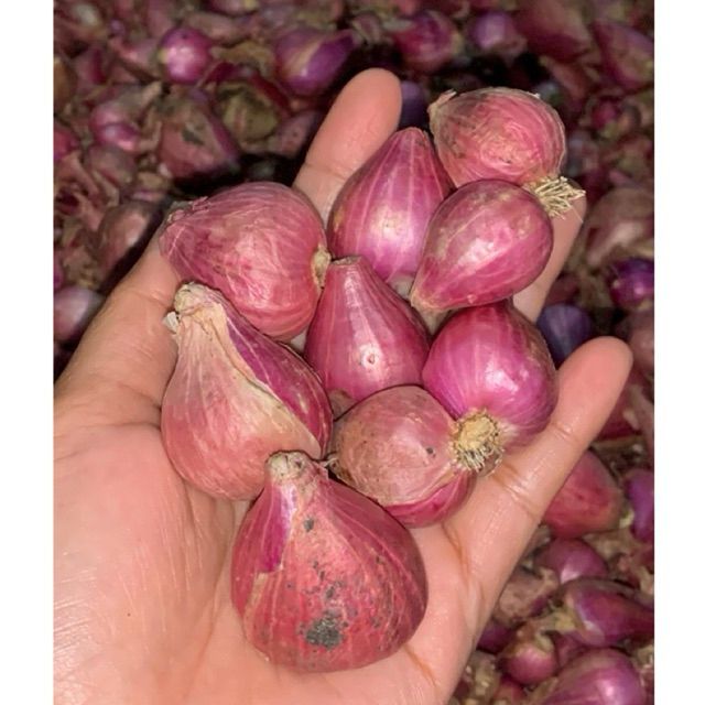 BAWANG MERAH NGANJUK 1KG