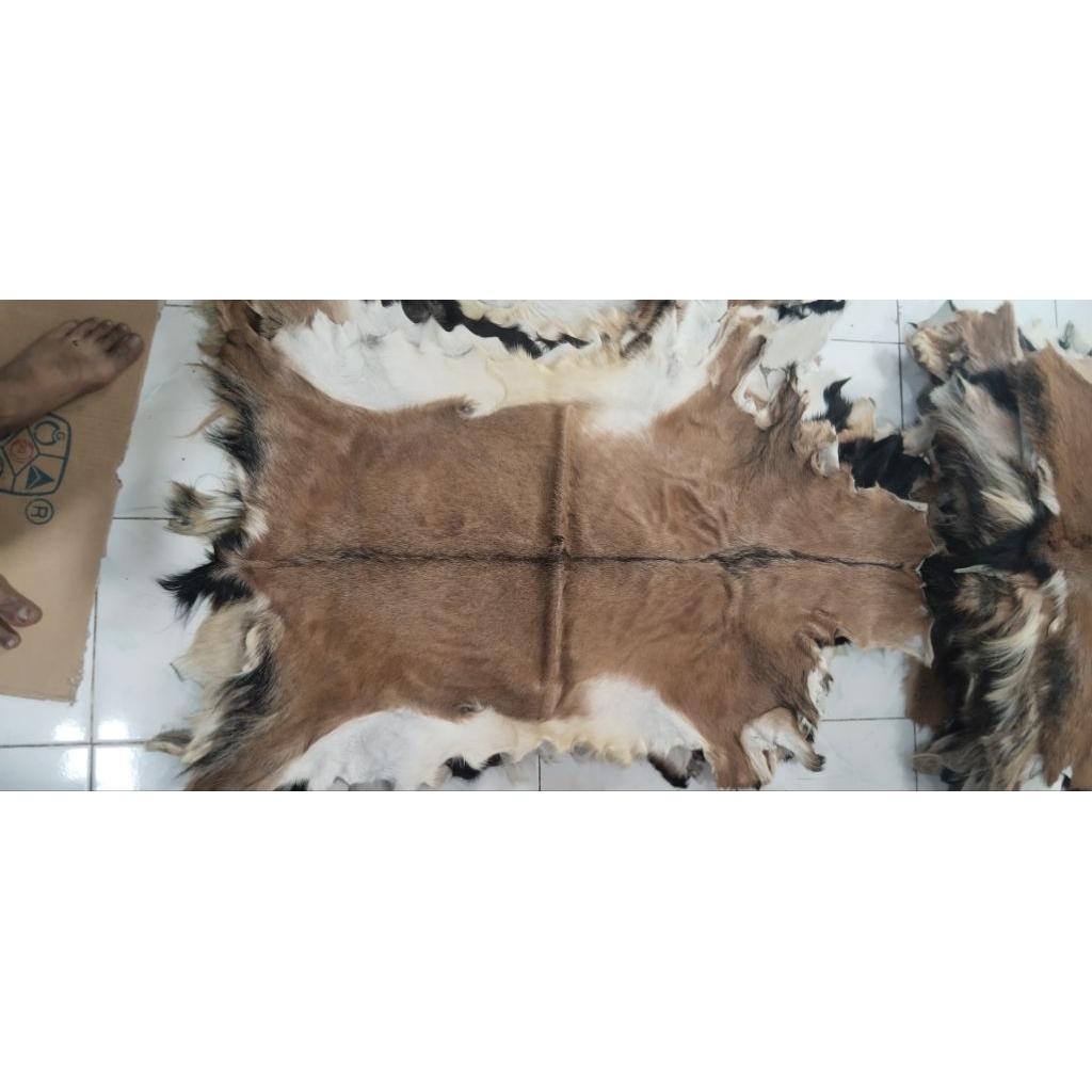 kulit bulu kambing coklat kombinasi