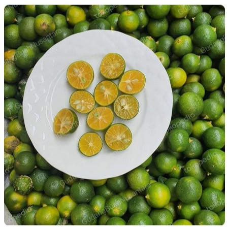 Jeruk Kasturi / Jeruk Sonkit 1 Kg