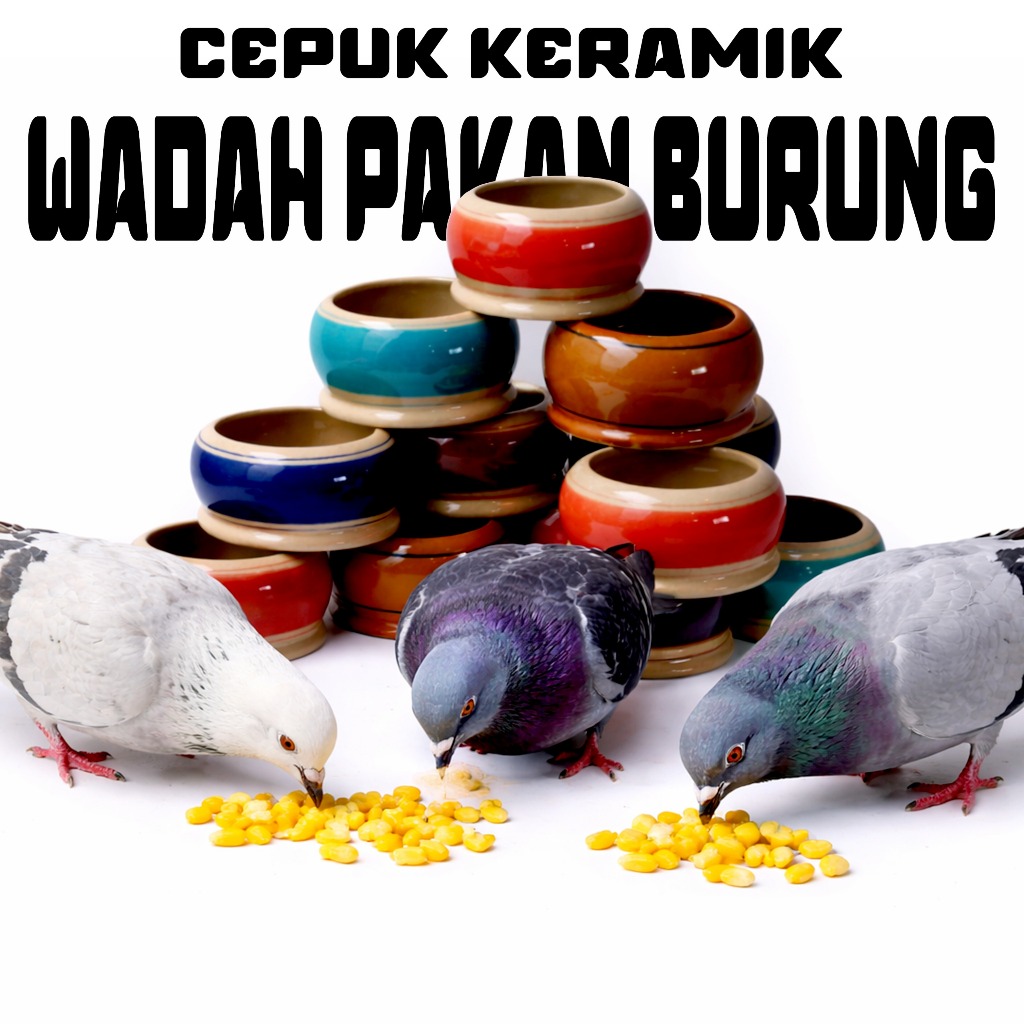 Cepuk Kramik Wadah Pakan Burung Pot Keramik Wadah Pakan Hewan Burung Merpati
