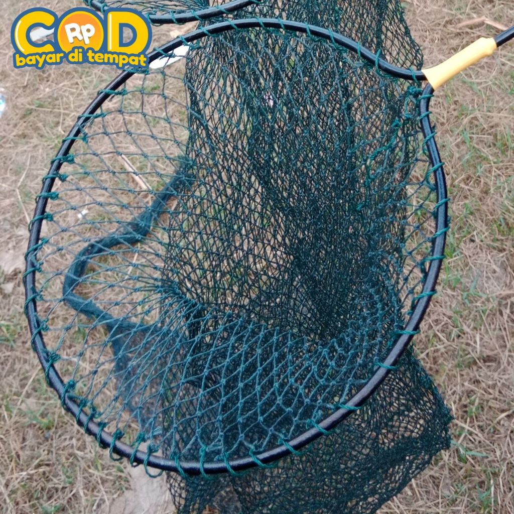 Korang Koja Persegi Tempat Ikan Mancing