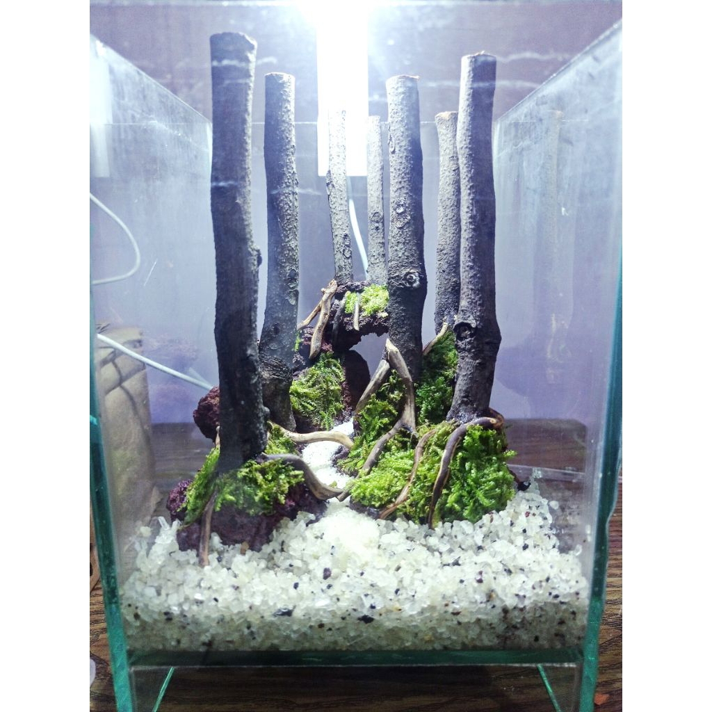 aquascape mini
