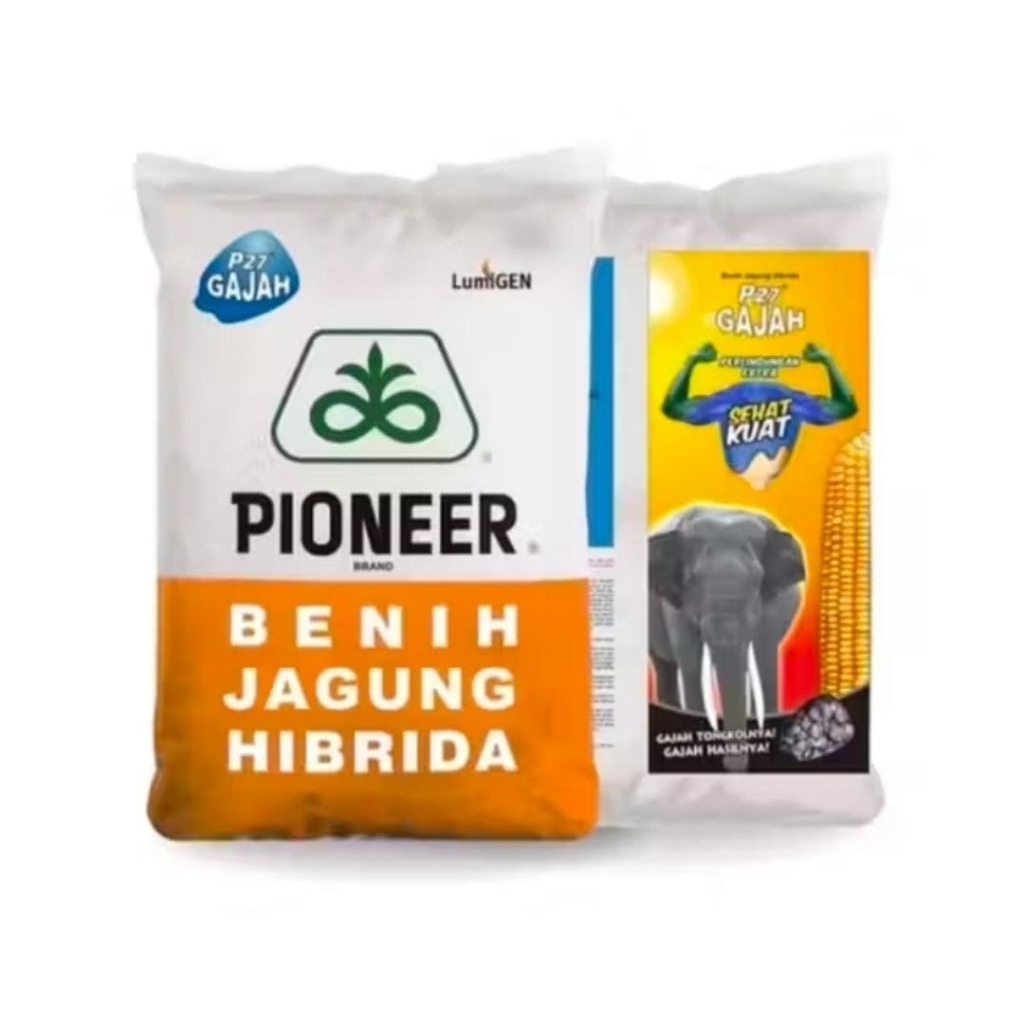 Benih jagung hibrida P27 LUMIGEN 1KG