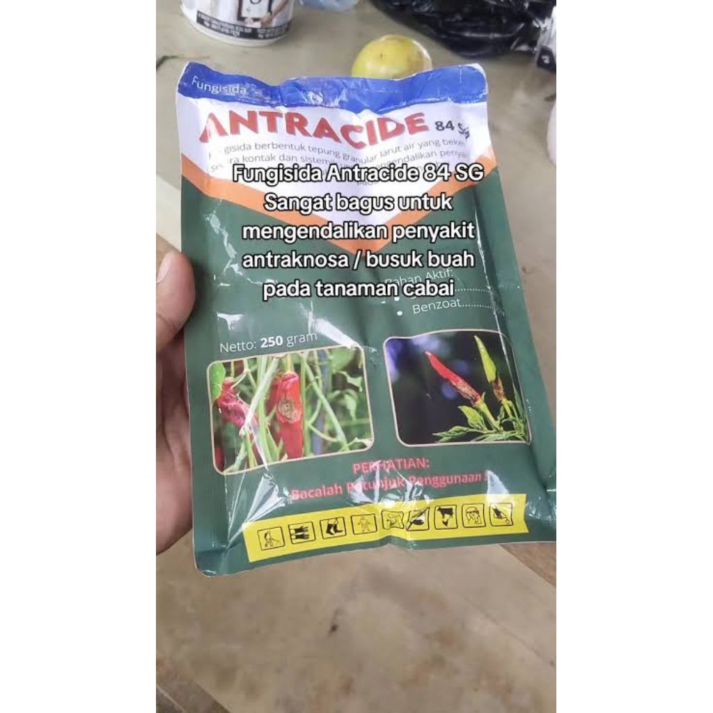 Fungisida Antracide 84 sg 250 gram