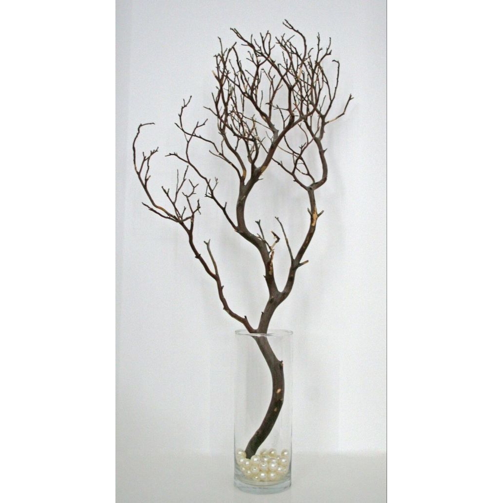 Ranting pohon/Ranting kayu kering 1 meter