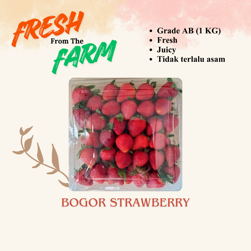 Strawberry Fresh 1 kg / Strawbery Segar / Stroberi 1 Pack Murah / Buah Strawberry Besar/ by Bogor St