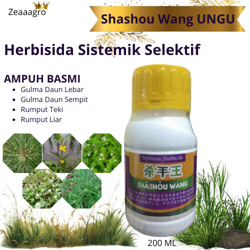 Shashou Wang Ungu - Shashouwang Herbisida Sistemik Selektif Untuk Mengendalikan Rumput Teki Gulma Da