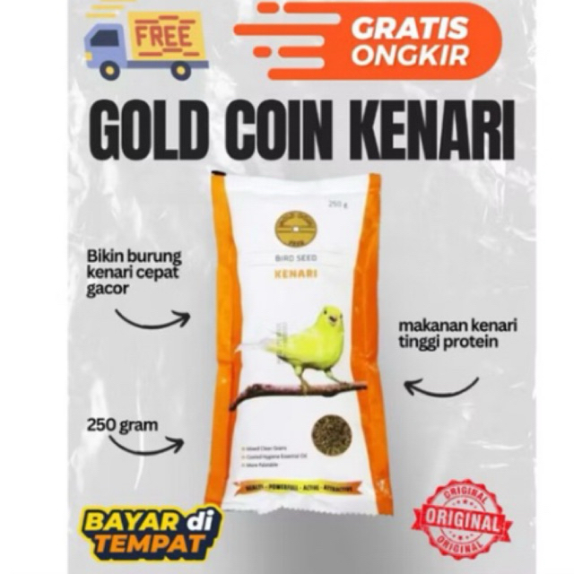 GOLD COIN KENARI
