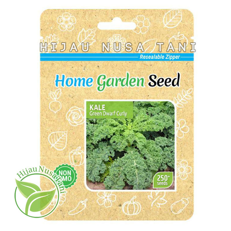 Benih KALE GREEN DWARF CURLY / CURLED [ 250 biji / 250s ] Home Garden Seed - Kemasan Pabrik