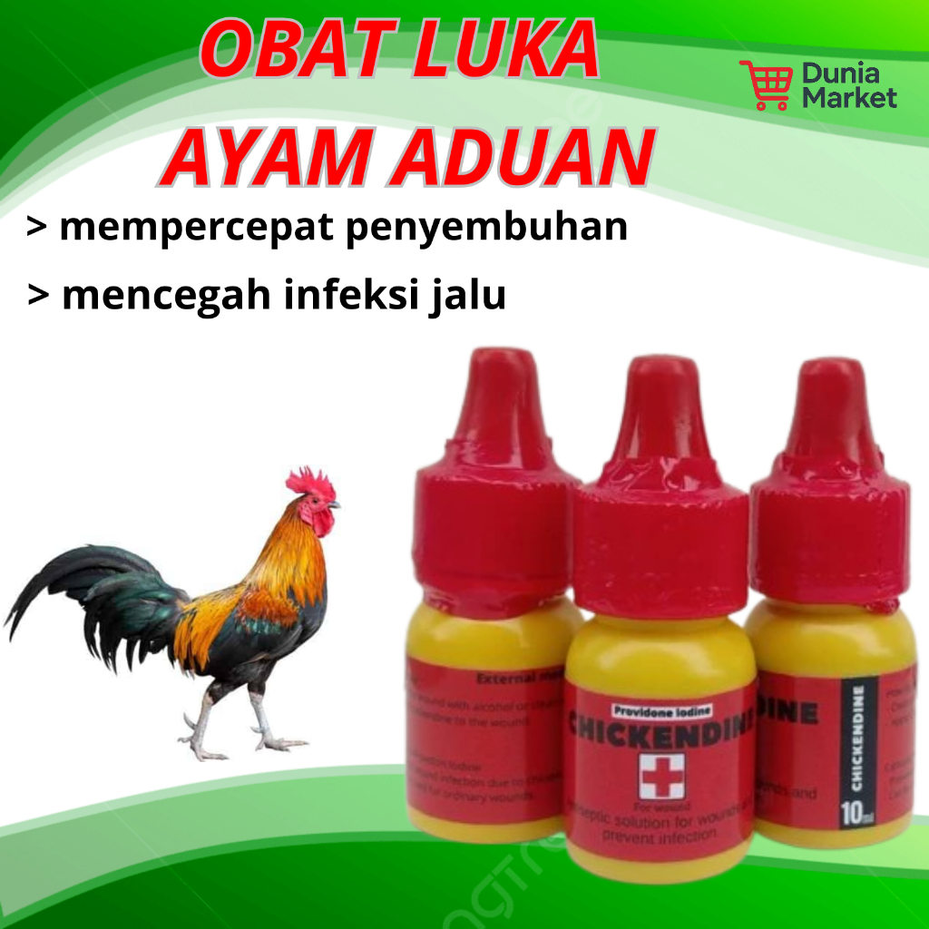 OBAT LUKA HABIS TARUNG AYAM ADUAN LUKA JALU AYAM DUNIAMARKET