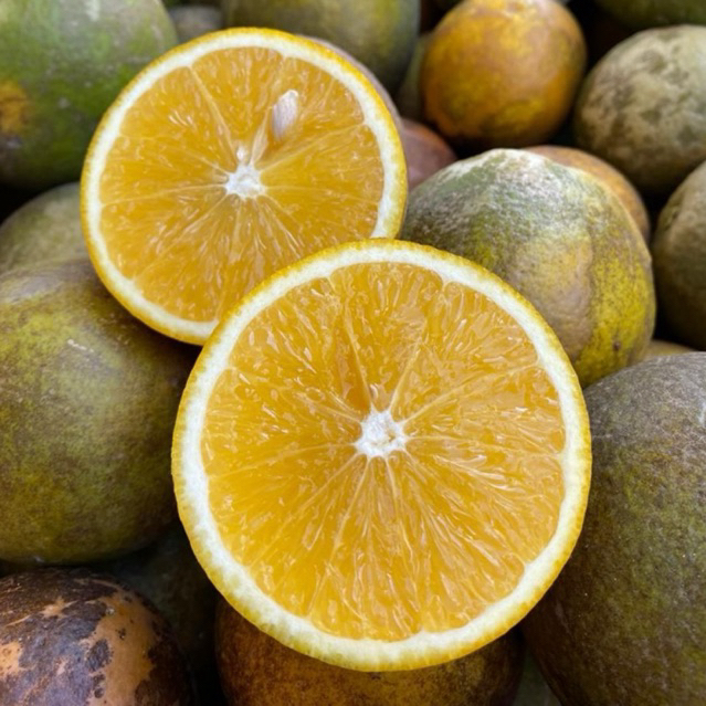 Jeruk Baby Java 1kg - Segar, Manis