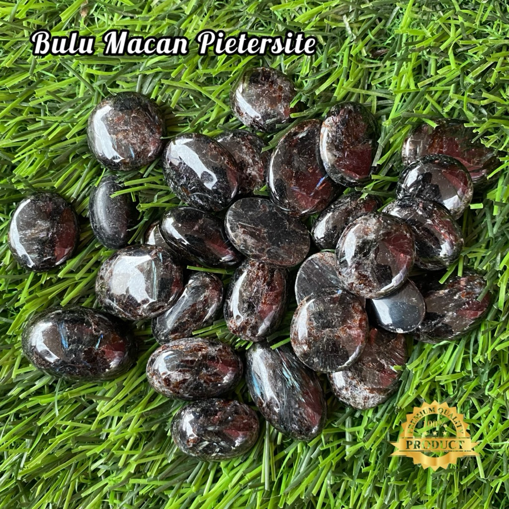Bulu Macan Pietersite