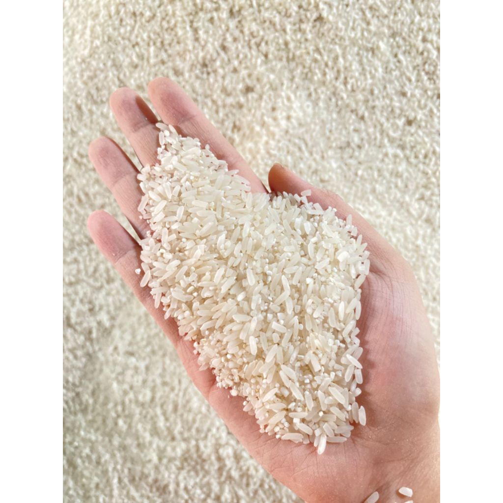 BERAS 25KG KARUNG POLOS