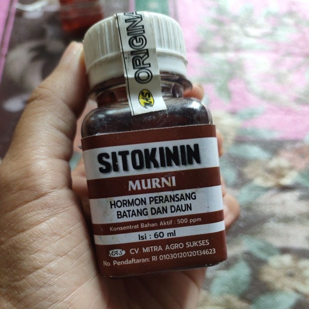Sitokinin Murni Hormon perangsang Batang dan Daun