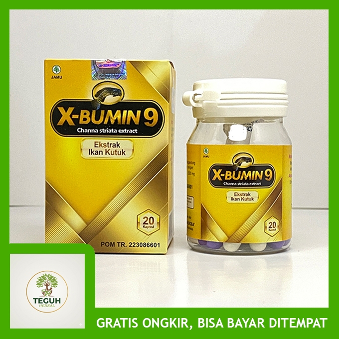 Kapsul Ikan Gabus Kutuk Albumin Ikan Gabus Kutuk Albumin Obat Luka Pasca Operasi - X-Bumin9