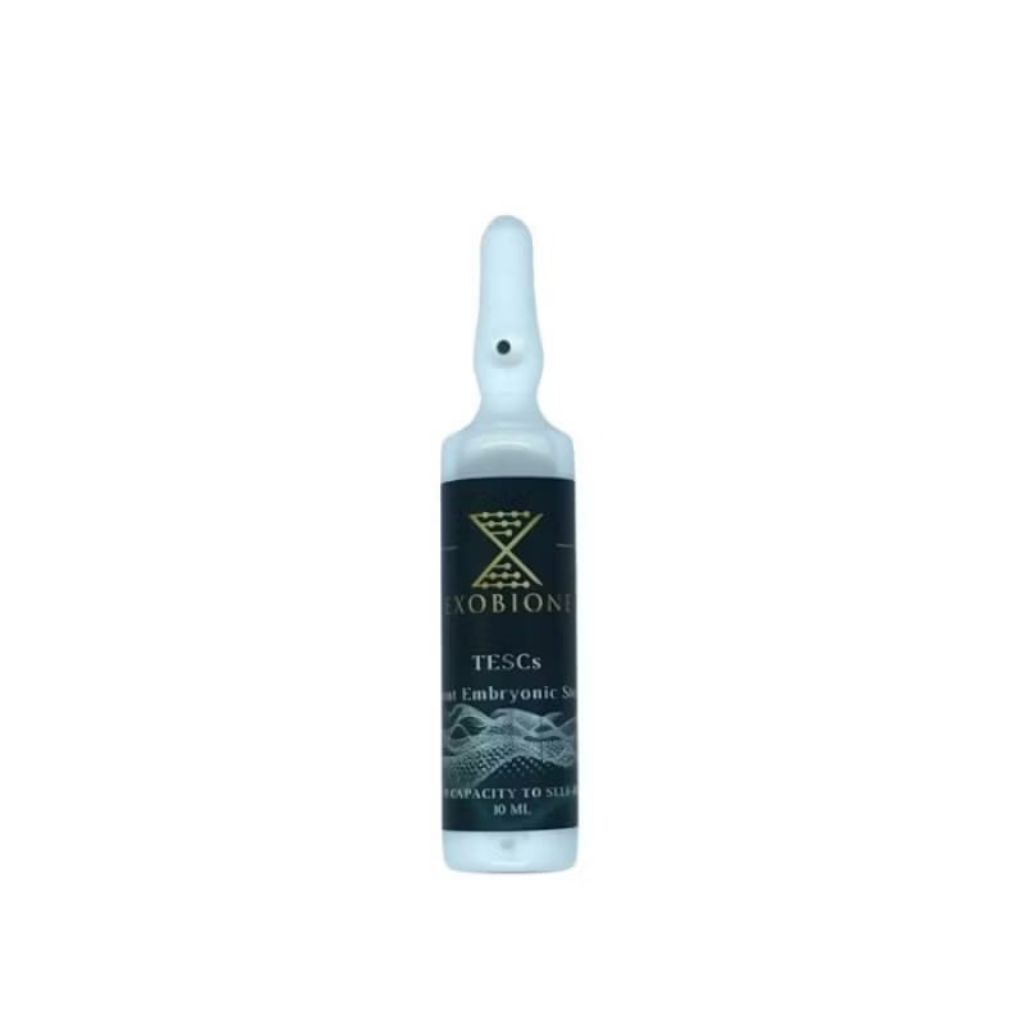 Nama produk EXOBIONE Totipotent Embryonic Stem Cell (ecer)