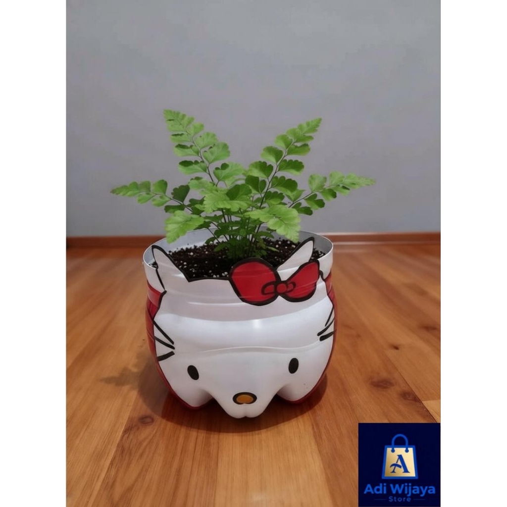Pot Hello Kitty dari Galon Bekas: Unik, Lucu, dan Ramah Lingkungan!