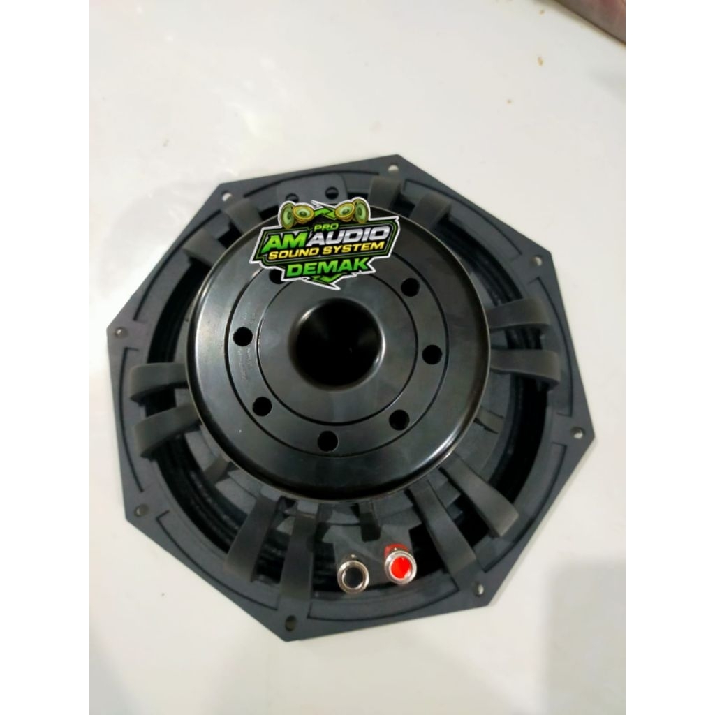 Speaker 10inch Wisdom D-10c neo