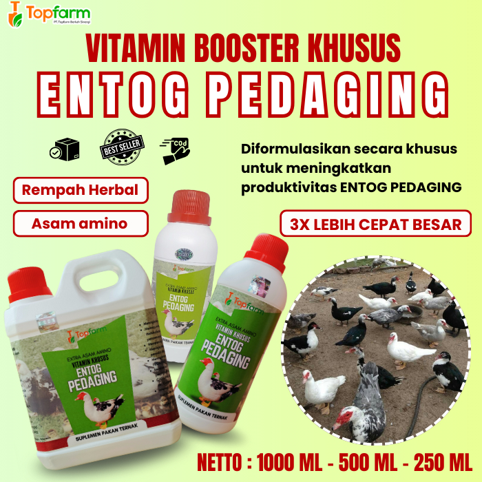 Vitamin Booster Penggemuk Entog/ Vitamin Entog Pedaging/ Vitamin Penggemuk Entog/ Mempercepat Pertum