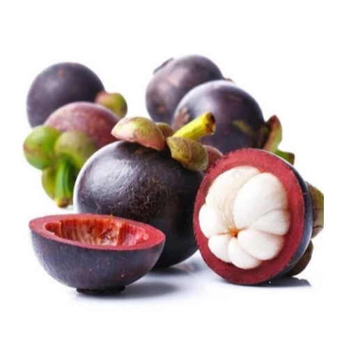 MANGGIS - BUAH MANGGIS - BUAH MANGGIS SEGAR - MANGGIS ASLI PURWOREJO - BUAH MANGGIS PURWOREJO - BUAH