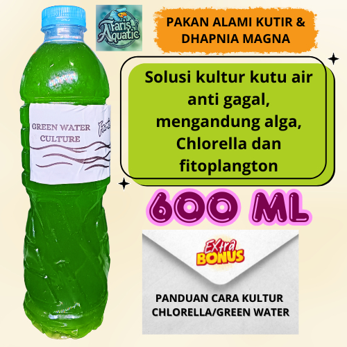 Pakan Kutu Air dan Dhapnia Magna Green Water Chlorella