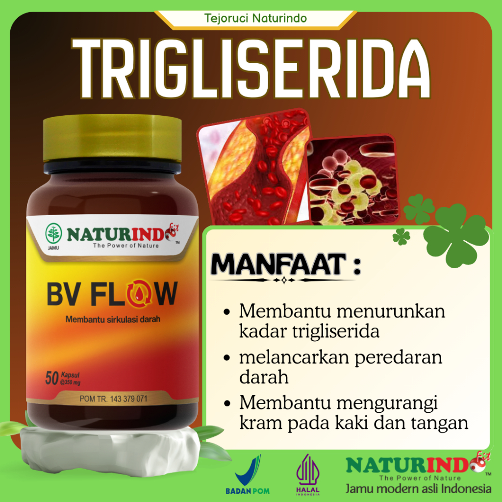 BV FLOW Naturindo Obat Herbal Sirkulasi Darah Tersumbat | Varises | Trigliserida | BPOM & Halal MUI