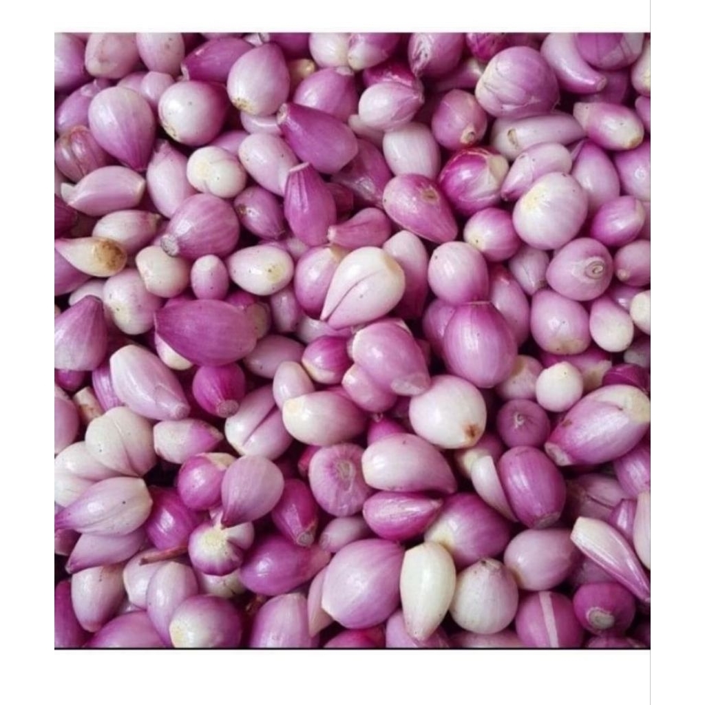 bawang merah kupas 1 kg