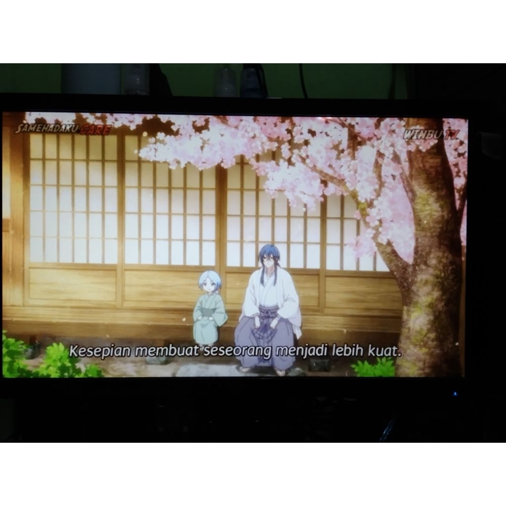 Monitor PC Acer KG241Q 164Hz