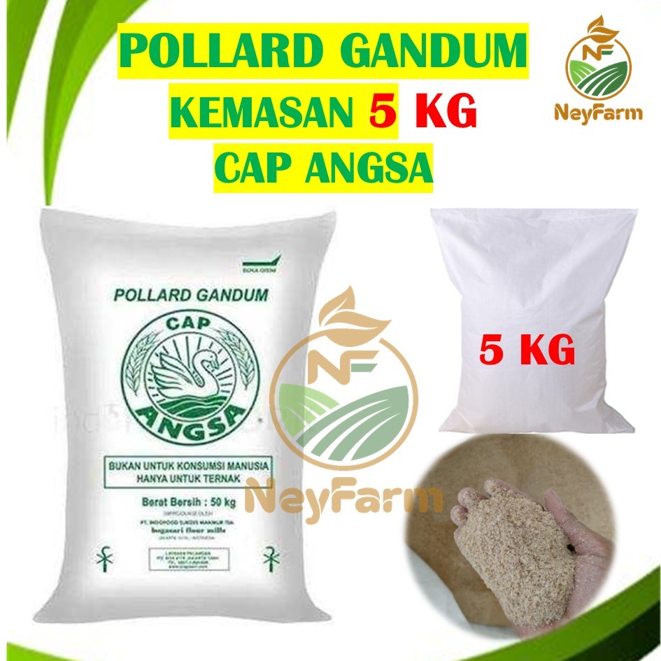 Pollard 5 kg Cap Angsa Bogasari Kemasan 5 kg Polar Makanan Ternak Pakan Ternak