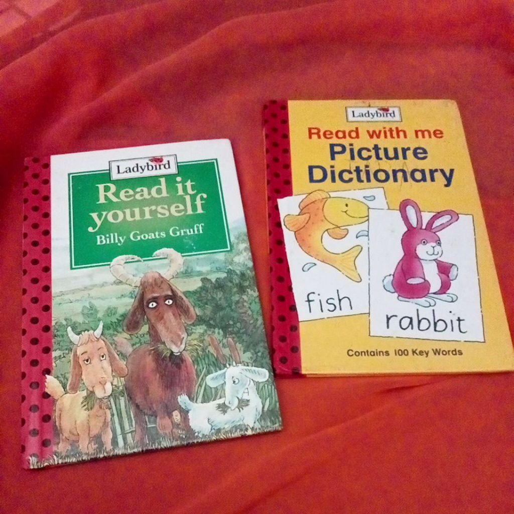 buku anak anak bahasa Inggris