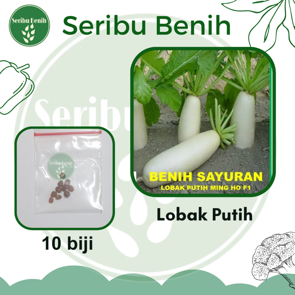 10 Benih Lobak Putih Ming Ho - Bibit White Radish Sayuran Umbi Putih