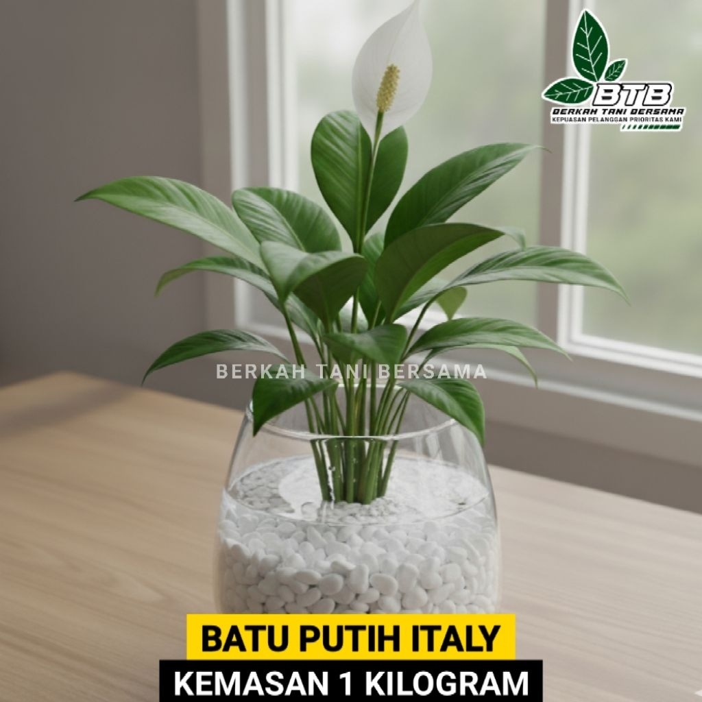 Batu Hias Italy Warna Putih Untuk Aquascape Hiasan Pot Dan Dekorasi Taman Jadi Lebih Elegan