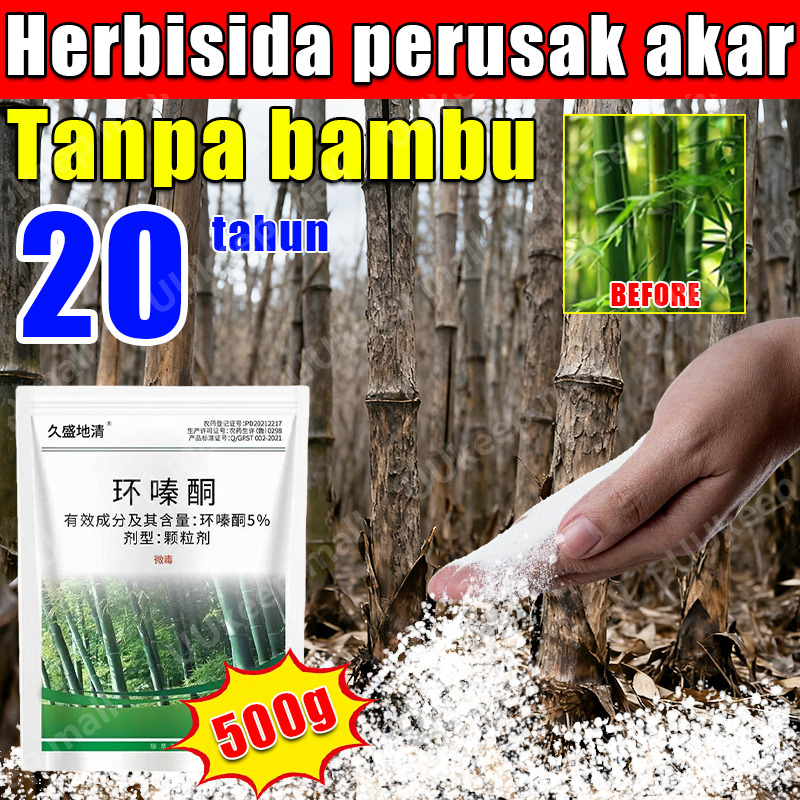 racun bambu paling ampuh original  herbisida Racun Pohon Besar Paling Ampuh  tree killer  obat pembu