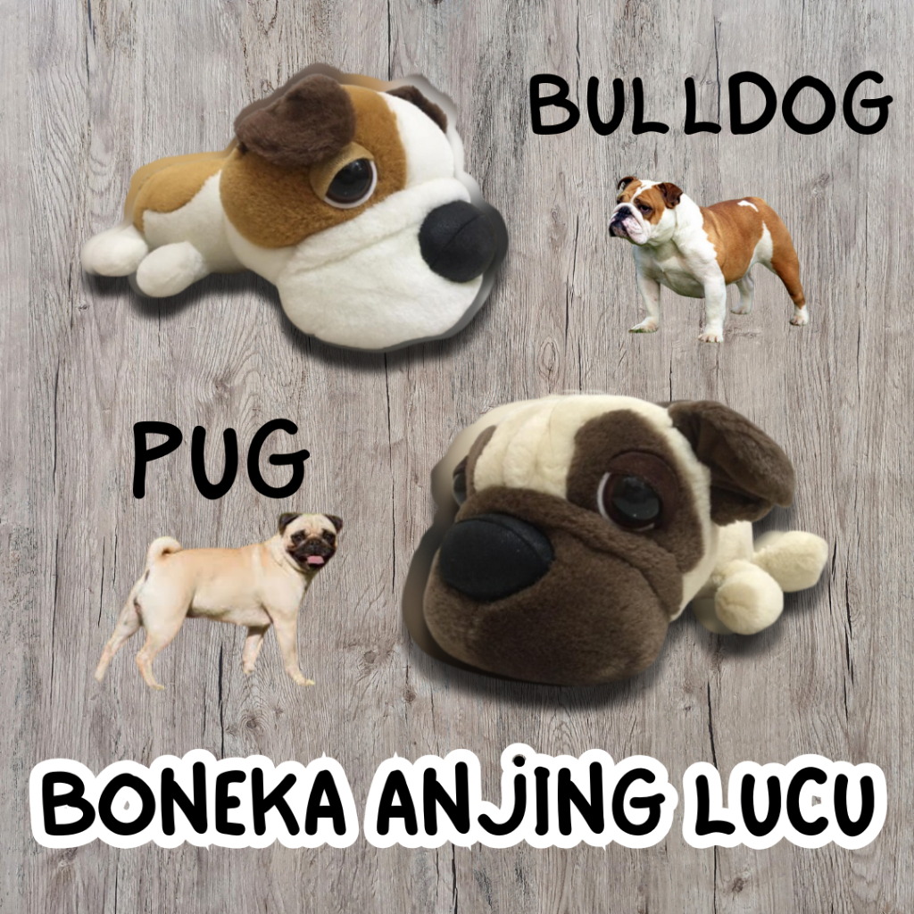 Boneka Plush Anjing PUG dan BULLDOG Lembut Ukuran 35cm