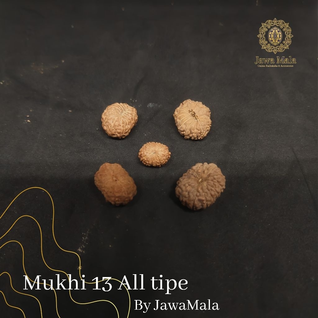 Mukhi 13 all tipe A original