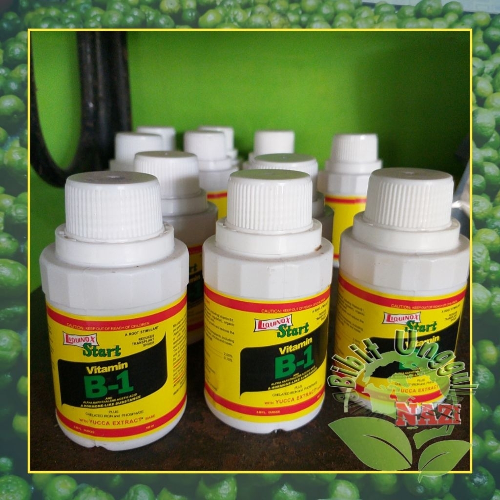 Pupuk Vitamin B1 tanaman anti setres ASLI 100ml