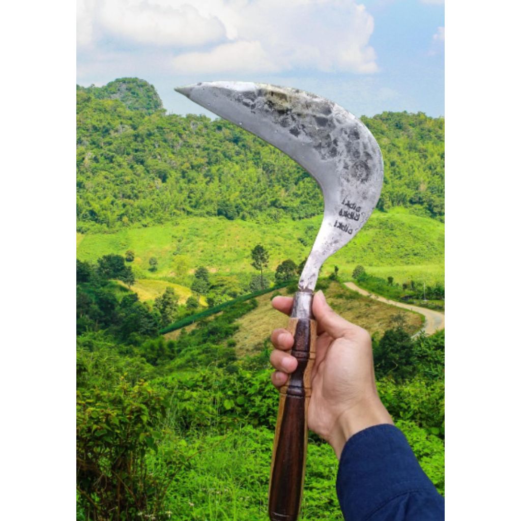 Arit rumput baja per asli pengaritan rumput perkakas kebun perkakas tani