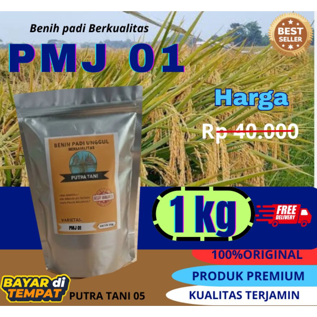 BENIH PADI/PMJ 01/ 1kg /BENIH BIBIT PADI PREMIUM