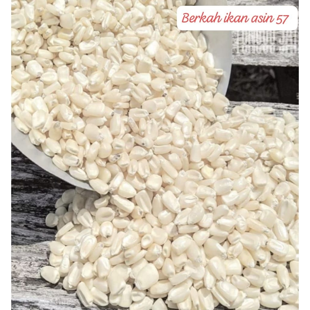 1klo JAGUNG PUTIH KETAN PULUT kering MENTAH,bahan bubur dan nasi jagung