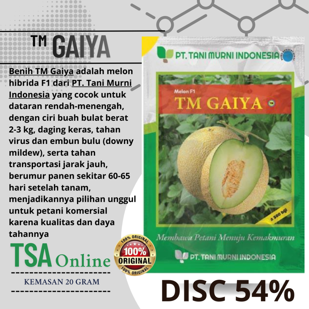 TM GAIYA F1 isi 500 biji - Benih bibit buah melon super ORIGINAL TANI MURNI