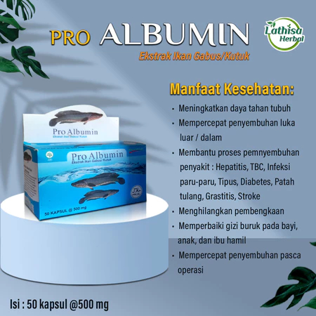 Pro Albumin Ekstrak Ikan Gabus / Kutuk - Kapsul Albumin Ikan Gabus isi 60 kapsul
