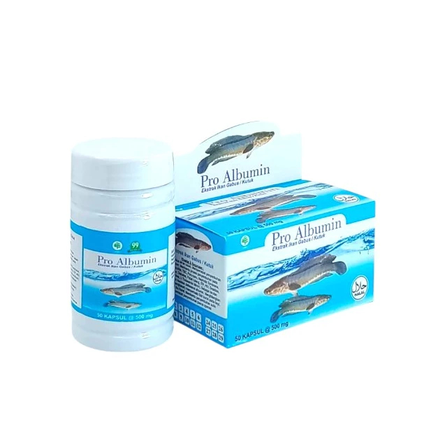 ALBUMIN FIT KAPSUL KUTUK BERKHASIAT EKSTRAK IKAN GABUS TERBAIK