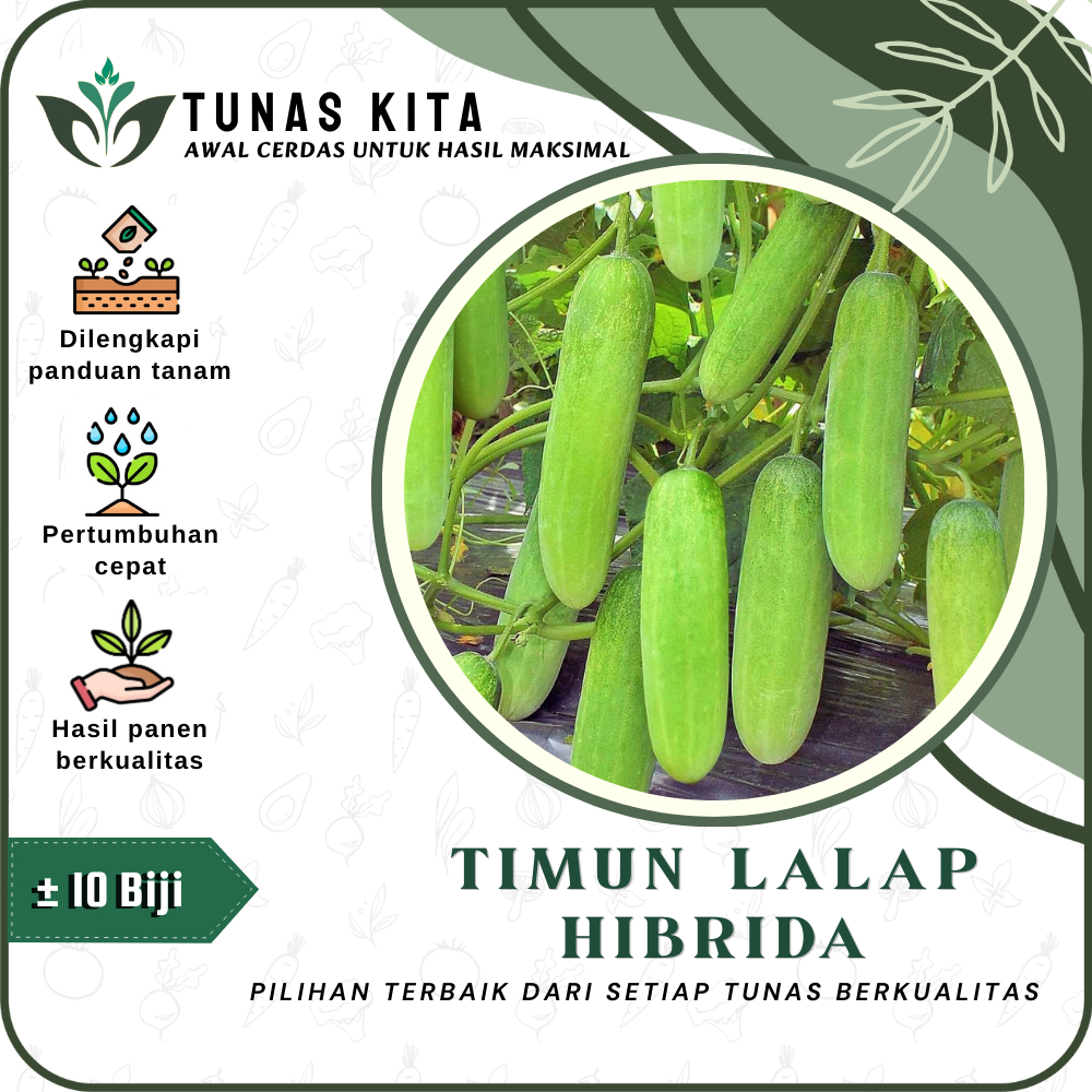 Tunas Kita Benih Sayuran Bibit Sayur Paling Lengkap Tanaman Hidroponik Kangkung Bayam Selada Brokoli