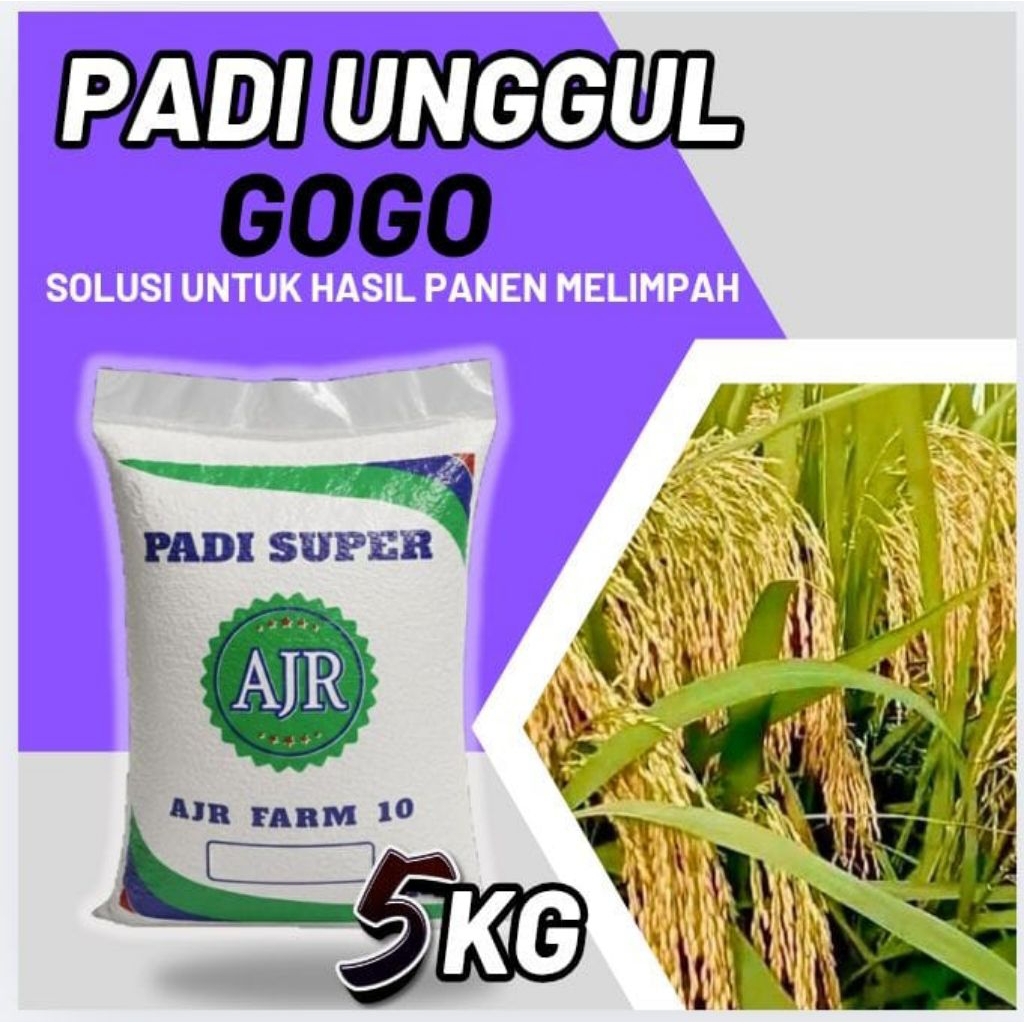 Bibit Padi unggul GOGO 5kg